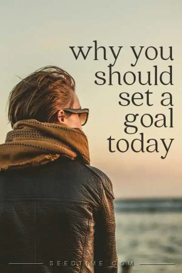 Why You Should Set Career Goals